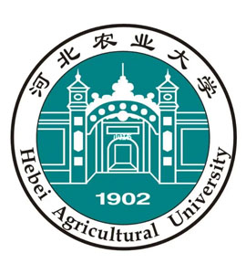 泰安河北农业大学